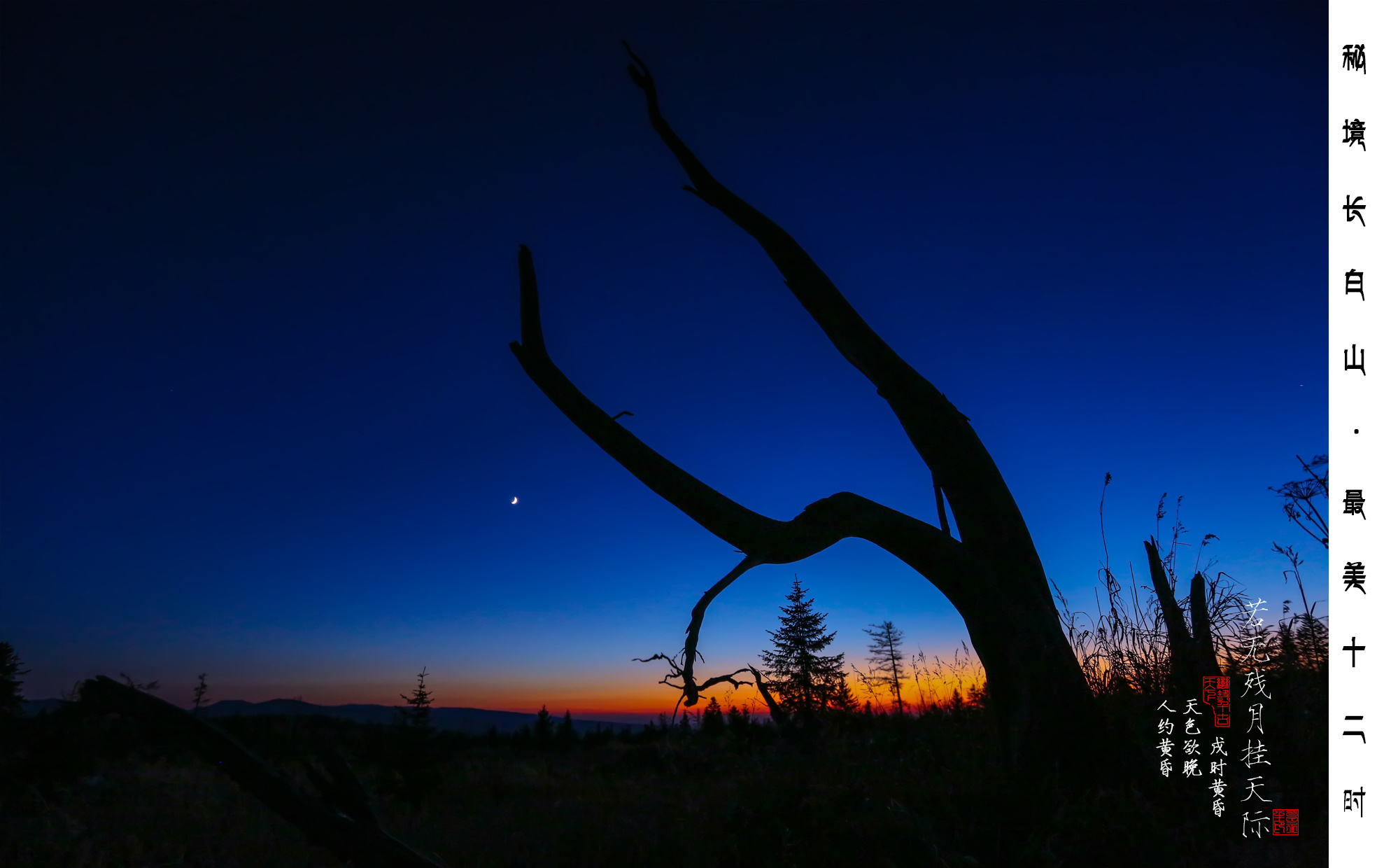 追逐长白山 夜空中最