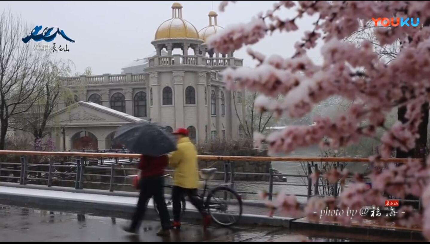 长白山小镇5月4日，花与雪相伴！！