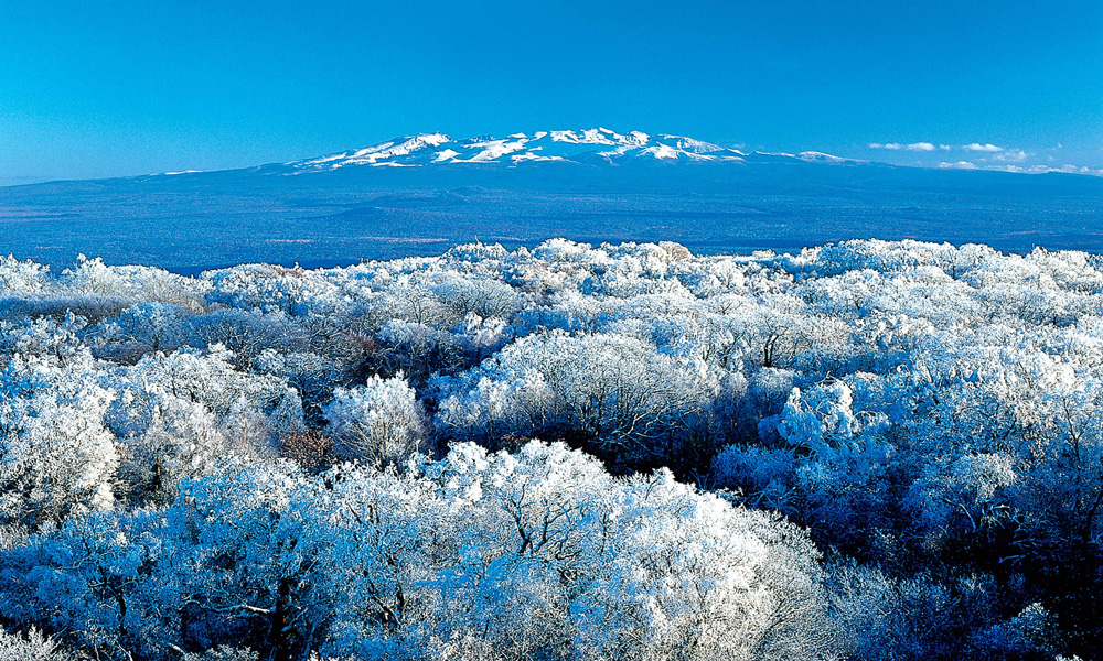 2016长白山国际冰雪嘉年华活动安排