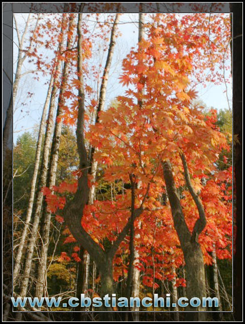 长白山